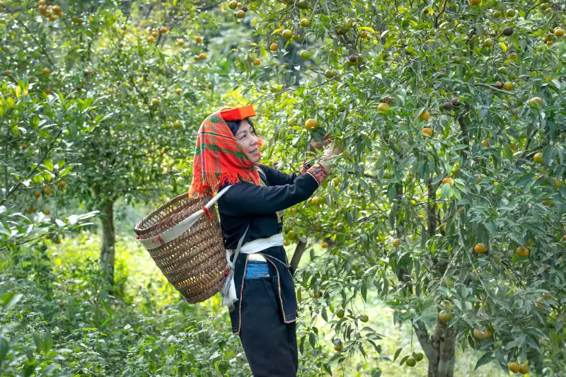 工业触摸屏选型指南：上海自动化设备厂商如何匹配HMI硬件需求