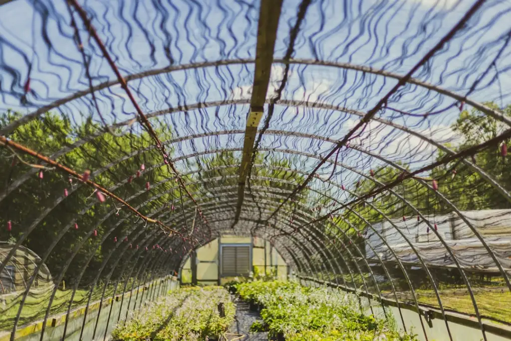 工业触摸屏选型指南：上海自动化设备厂商如何匹配HMI硬件需求